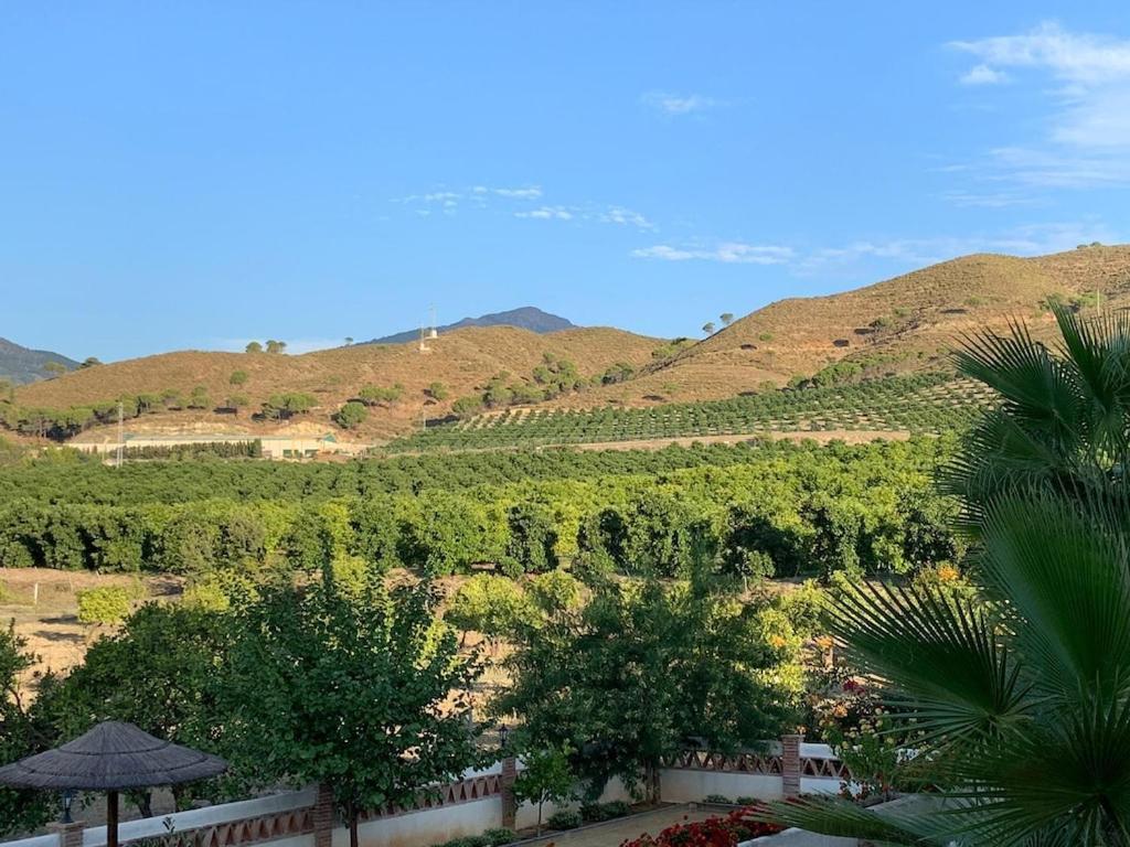 With Private Swimming Pool And Boules Court 40 Minutes From M Laga Willa